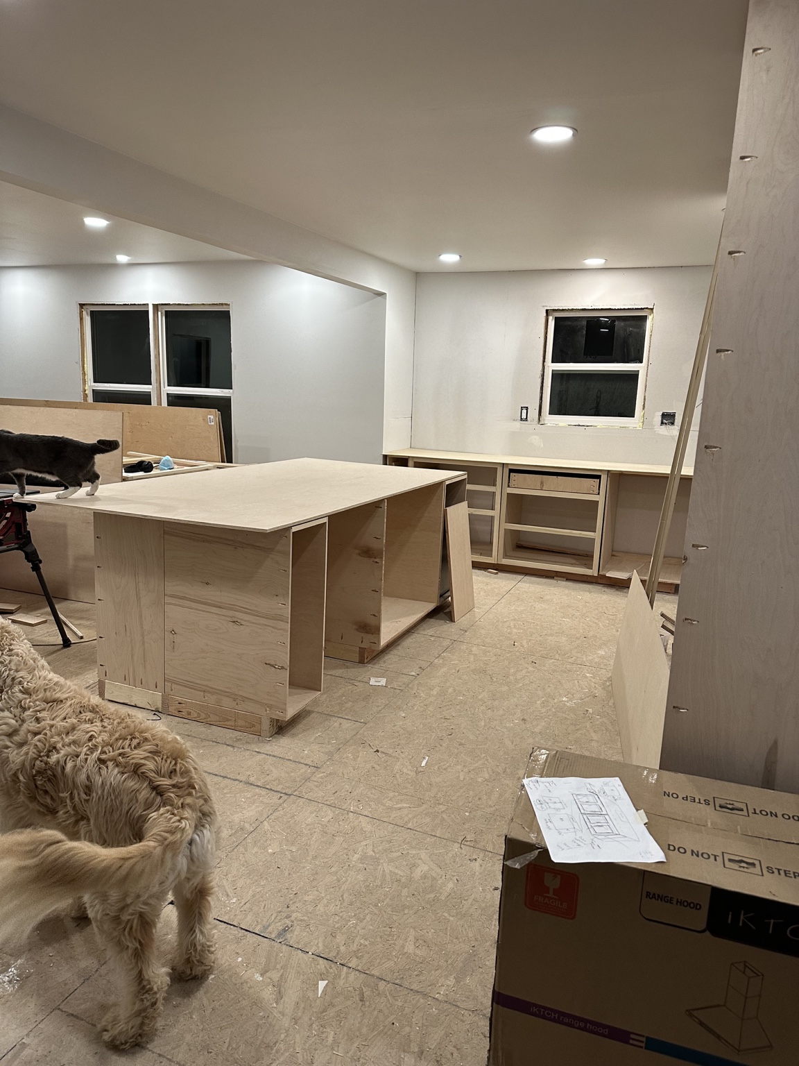 Cabinet boxes and the open living area